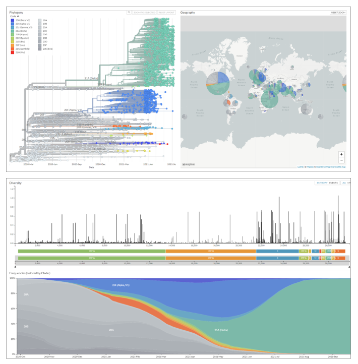 ビジュアライズ
