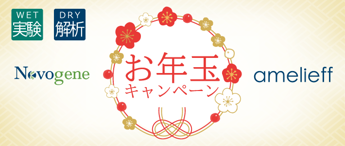 2022お年玉キャンペーンのお知らせ