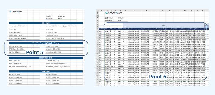 難病遺伝子変異レポート 詳細レポート(Excel)