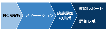 難病遺伝子変異レポートの解析の流れ