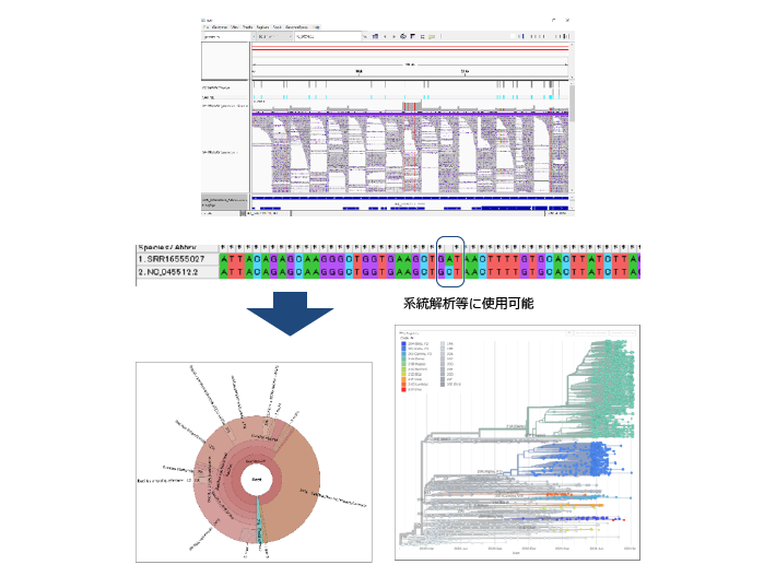 ロングリードによる微生物ゲノム解析の納品物例