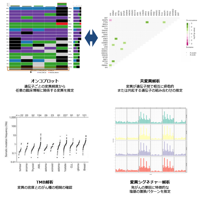がん遺伝子変異マーカー探索レポートの納品物例