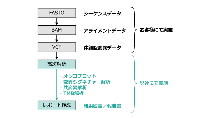 がん遺伝子変異マーカー探索レポートの解析の流れ