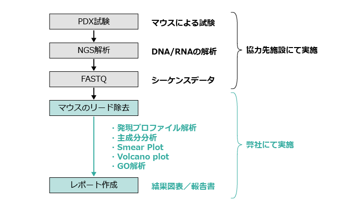PDX向け発現解析レポートの解析の流れ