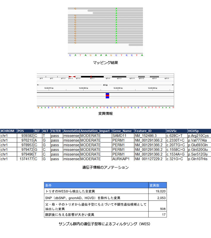 Reseq解析の納品物例