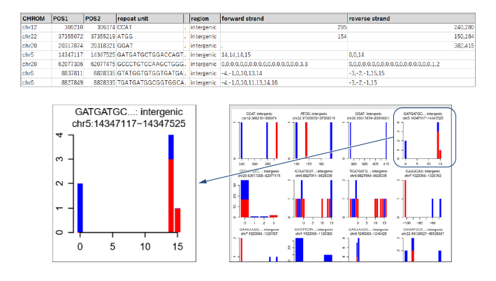 ロングリードによるtandem repeat解析の納品物例