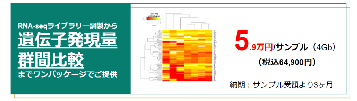 total RNAからのRNA-seq遺伝子発現量群間比較までワンパッケージでご提供5.9万円/サンプル（4Gb）（税込64,900円）