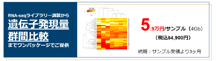 total RNAからのRNA-seq遺伝子発現量群間比較までワンパッケージでご提供5.9万円/サンプル(4Gb)(税込64,900円)