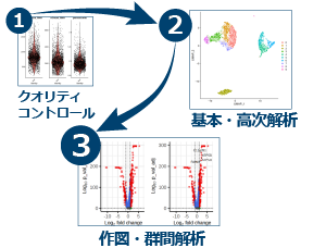 証済みの解析プロトコルを用いて、高次解析までワンクリックで実行