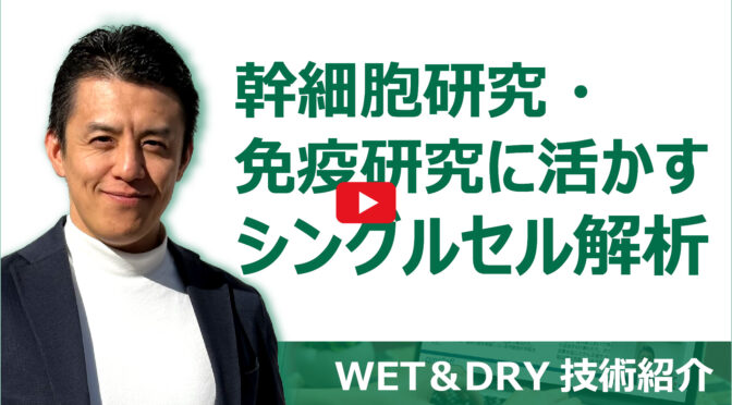幹細胞研究・免疫研究に活かすシングルセル解析
