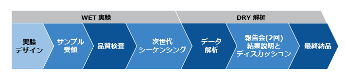 ご利用の流れ（WET＆DRY）