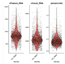 クオリティチェック