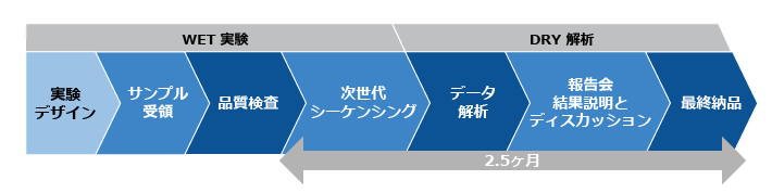 ご利用の流れ（WET＆DRY）