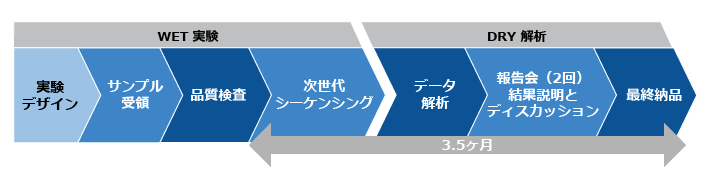 ご利用の流れ(WET&DRY)