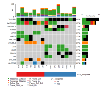 Oncoplot（オンコプロット）