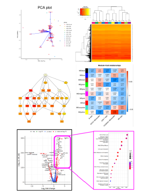 データベースを活用したメタアナリシスや機械学習など発展的な解析への連携