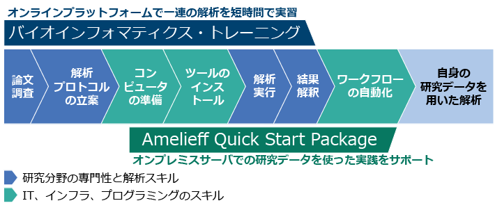 トレーニング＆QSP導入のカバー範囲
