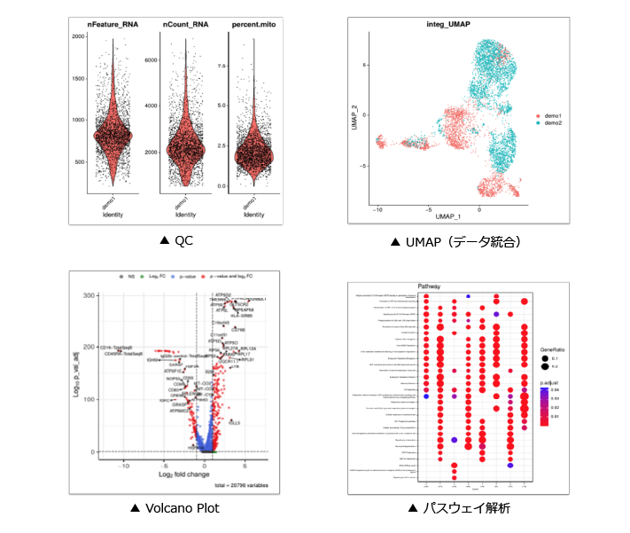 Amelieff QuickStart Package出力例