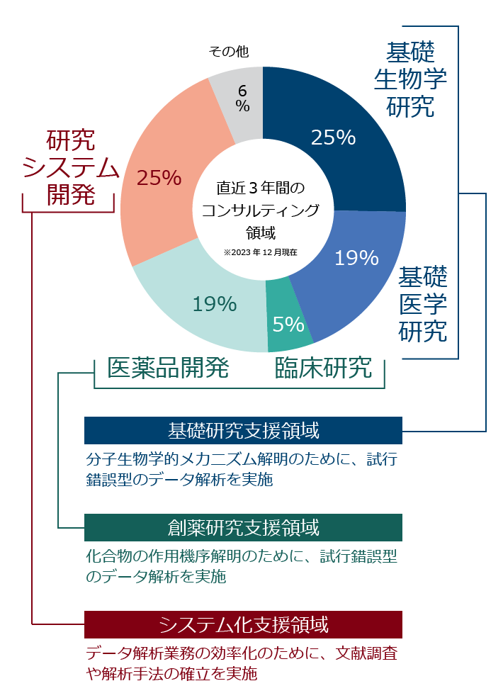 アメリエフのコンサルティング領域