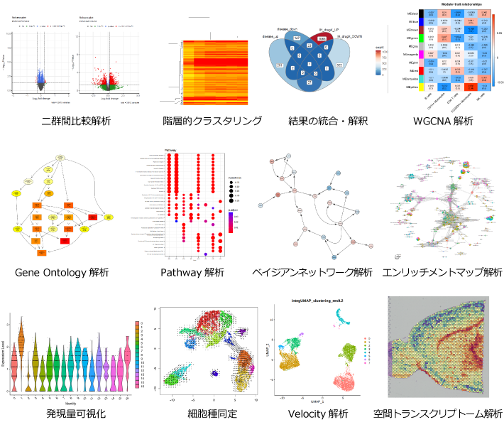 アメリエフの創薬研究支援ソリューション