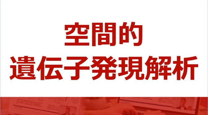 空間的遺伝子発現解析