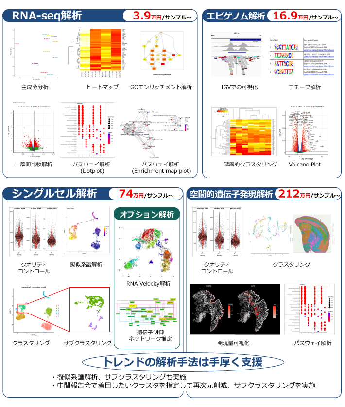 代表的な価格一覧