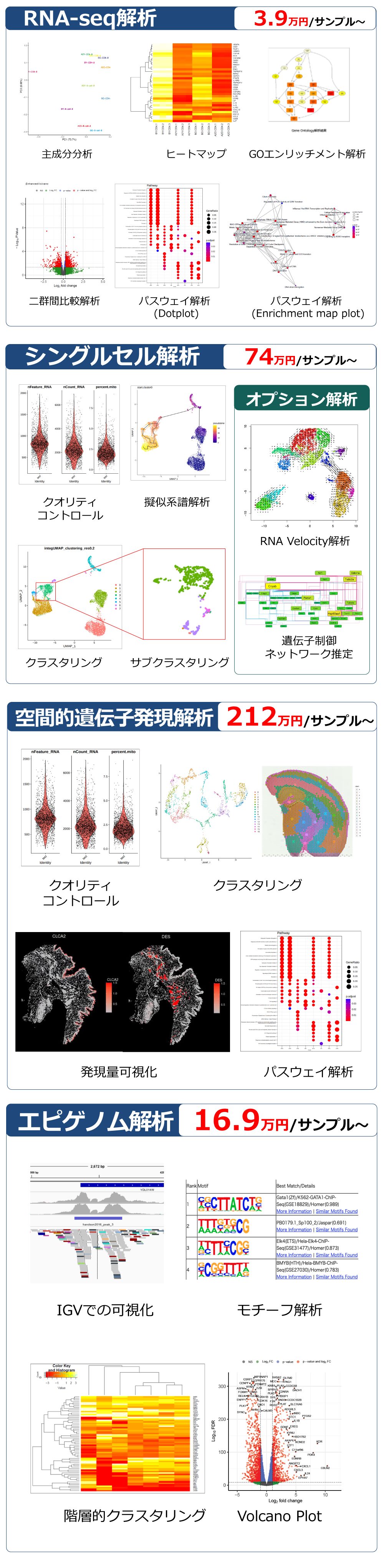 代表的な価格一覧