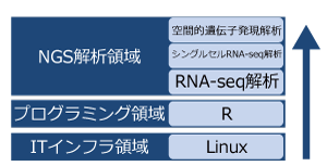 体系的に学べる
