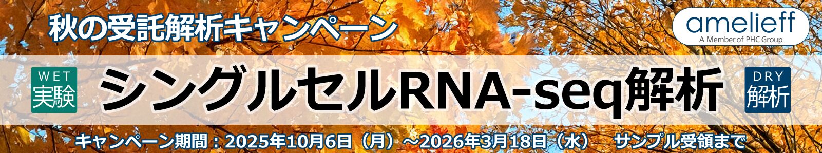 シングルセルRNA-seq解析キャンペーン