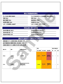 レポートイメージ